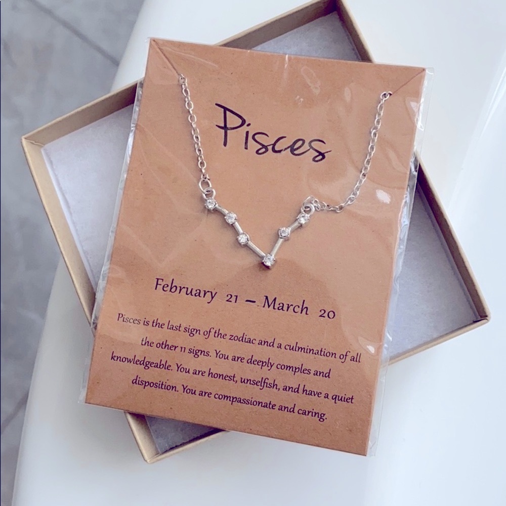 ♓️ NEW Silver Zodiac Sign Pisces ♓️ Necklace